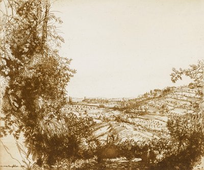 Olivais de Donald Shaw MacLaughlan