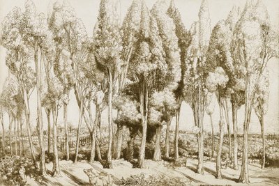 Canção de estrada no. 5 de Donald Shaw MacLaughlan