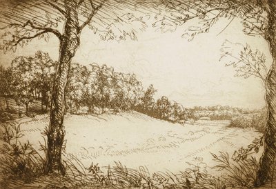 Manhã de verão no Tennessee de Donald Shaw MacLaughlan