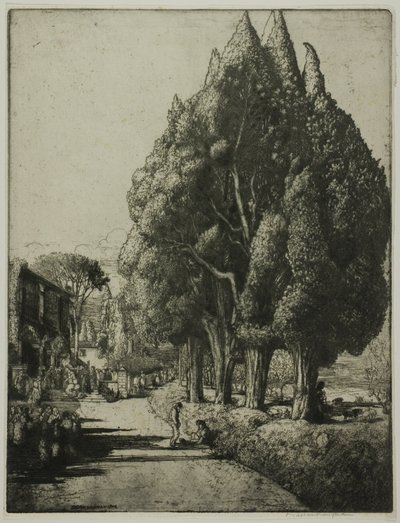 O bosque de ciprestes de Donald Shaw MacLaughlan