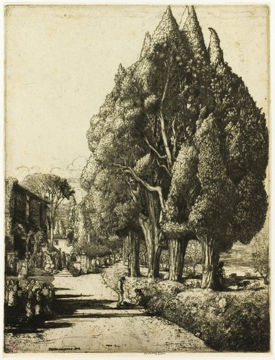 O bosque de ciprestes de Donald Shaw MacLaughlan