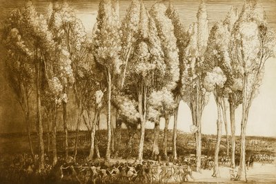 A dança da primavera de Donald Shaw MacLaughlan