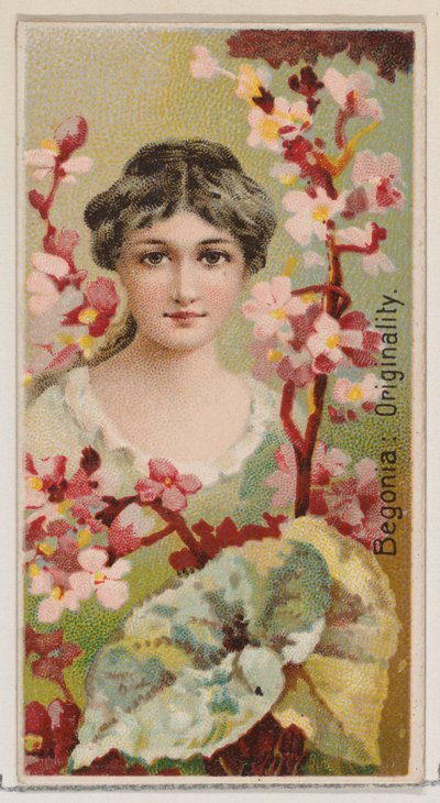 Begônia: Originalidade, da série Belezas Florais e Linguagem das Flores N75 para Du..., 1892. de Donaldson Brothers