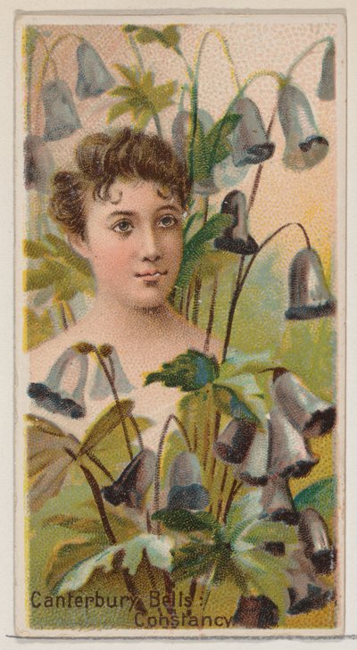 Floresta. de Donaldson Brothers