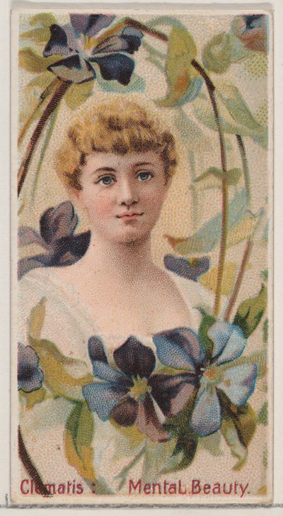 Clematis: Beleza Mental, da série Belezas Florais e Linguagem das Flores N75 para..., 1892. de Donaldson Brothers