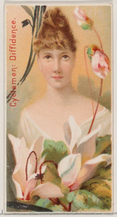 Cyclamen: Diffidence, da série Floral Beauties and Language of Flowers N75 para Du..., 1892. de Donaldson Brothers
