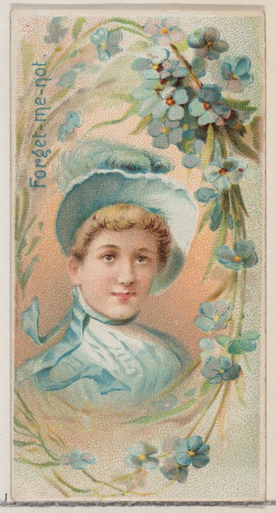Forget-Me-Not, da série Floral Beauties and Language of Flowers N75 para Duke bran..., 1892. de Donaldson Brothers