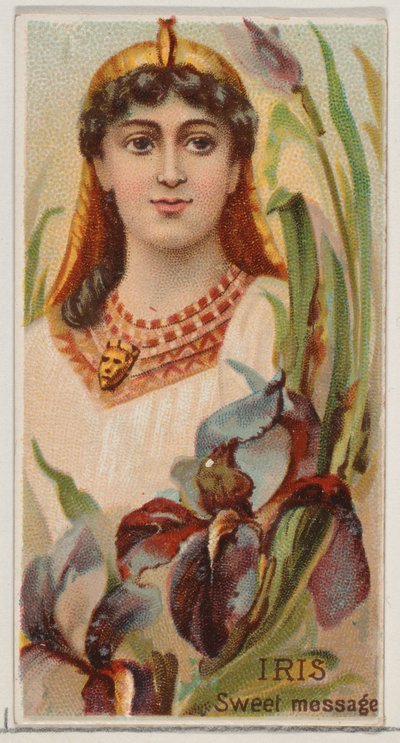Iris: Sweet Message, da série Floral Beauties and Language of Flowers N75 para Duk..., 1892. de Donaldson Brothers