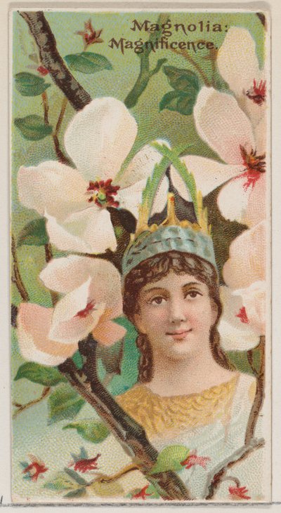 Floresta. de Donaldson Brothers