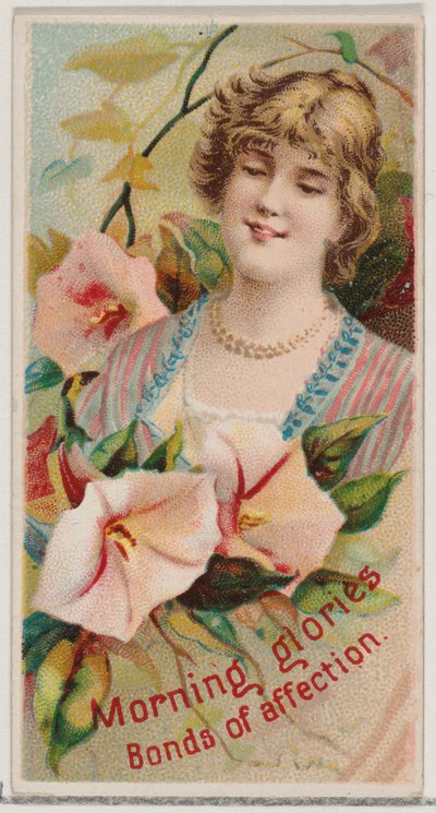 Morning Glories: Bonds of Affection, da série Floral Beauties and Language of Flowe..., 1892. de Donaldson Brothers