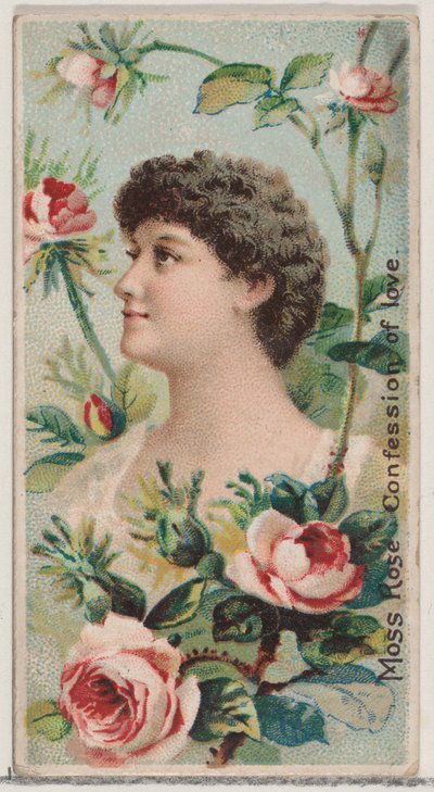 Moss Rose: Confession of Love, da série Floral Beauties and Language of Flowers N7..., 1892. de Donaldson Brothers