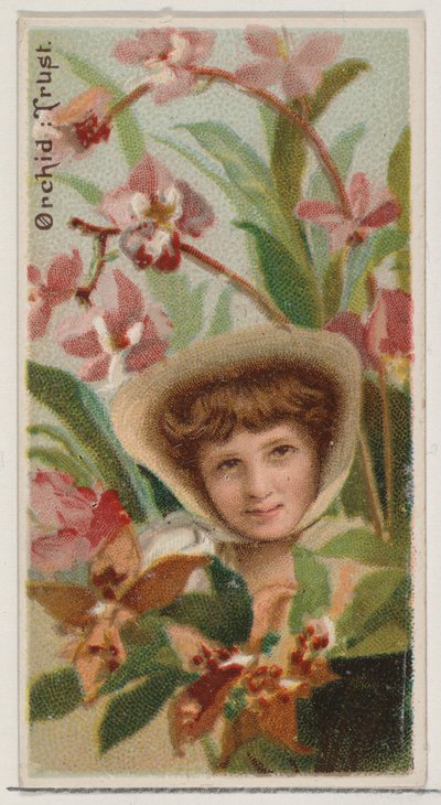 Orchid: Trust, da série Floral Beauties and Language of Flowers N75 para Duke bran..., 1892. de Donaldson Brothers