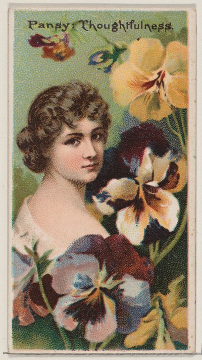 Pansy: Pensamento, da série Belezas Florais e Linguagem das Flores N75 para D..., 1892. de Donaldson Brothers