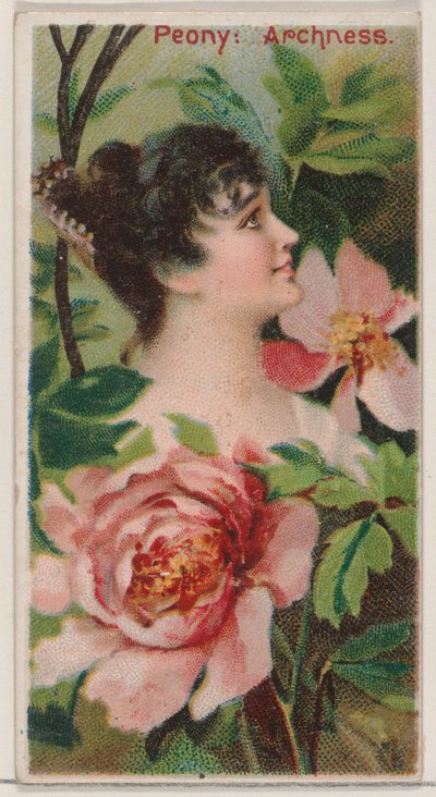 Peony: Archness, da série Floral Beauties and Language of Flowers N75 para Duke br..., 1892. de Donaldson Brothers
