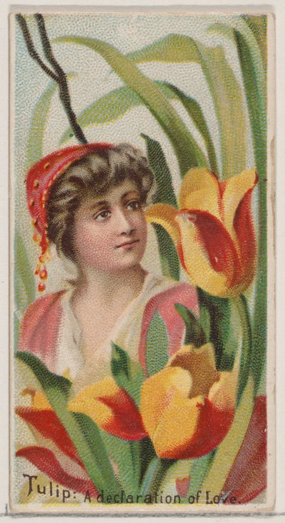Tulipa: Uma Declaração de Amor, da série Belezas Florais e Linguagem das Flores N75..., 1892. de Donaldson Brothers
