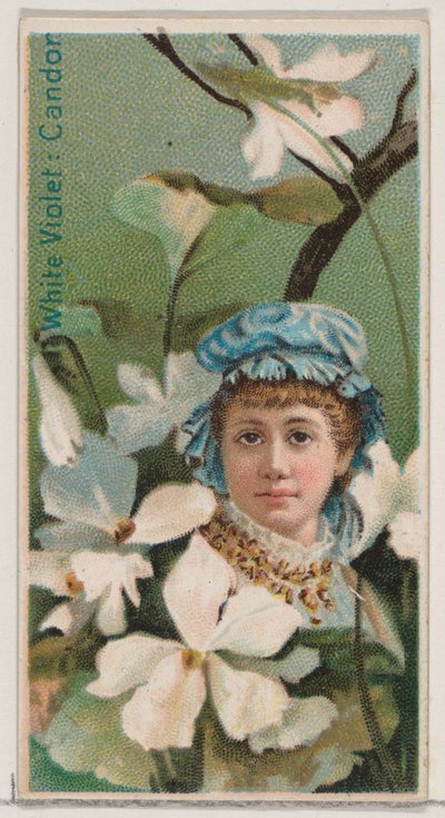 Floresta. de Donaldson Brothers