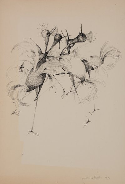 Pássaros de Donatella Merlo