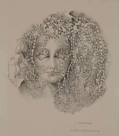 A Malacologia de Donatella Merlo