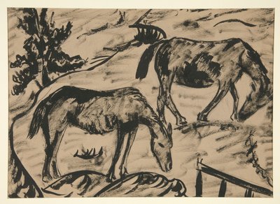 Cavalos de Dora Bromberger