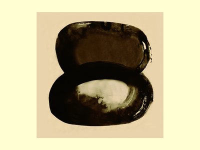 Formas Orgânicas Abstratas de Doris Schmitz