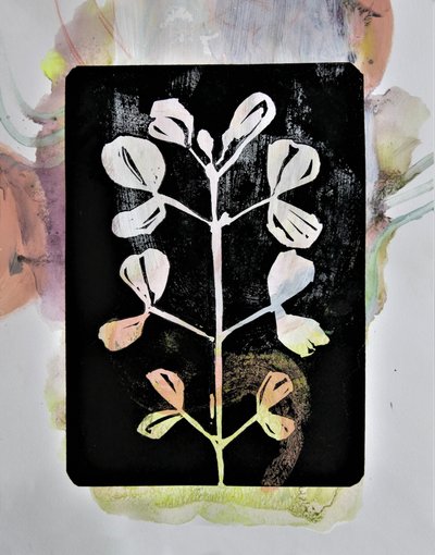 Estudo botânico em pastel de Doris Schmitz