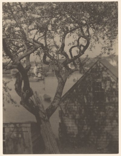 Cena do porto, provavelmente Gloucester, Massachusetts de Doris Ulmann
