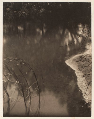 Estudo de árvores reflectidas na água, c.1925-34 (impressão em platina) de Doris Ulmann