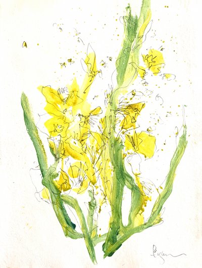 Flores amarelas brilhantes de Dorothy Fagan