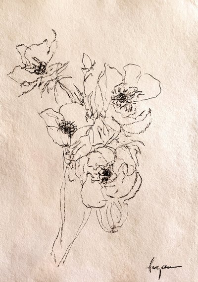 Esboço floral delicado de Dorothy Fagan