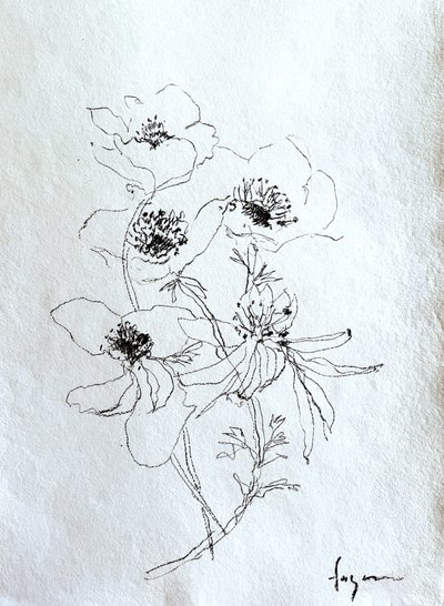 Esboço floral delicado de Dorothy Fagan