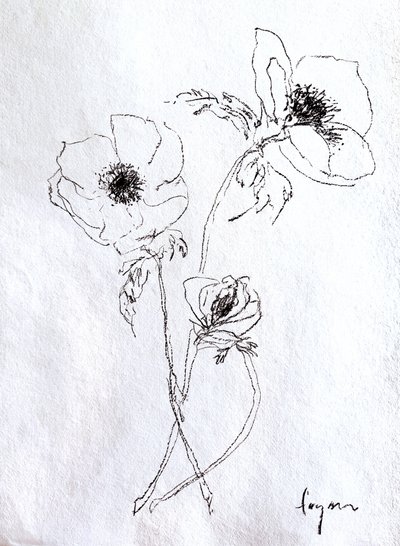 Esboço de uma flor delicada de Dorothy Fagan