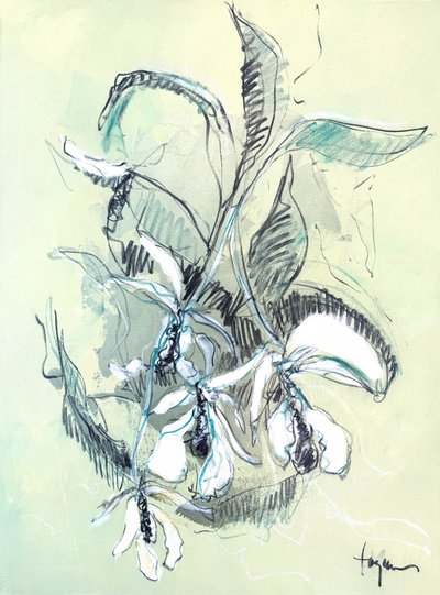 Esboço de uma orquídea delicada de Dorothy Fagan