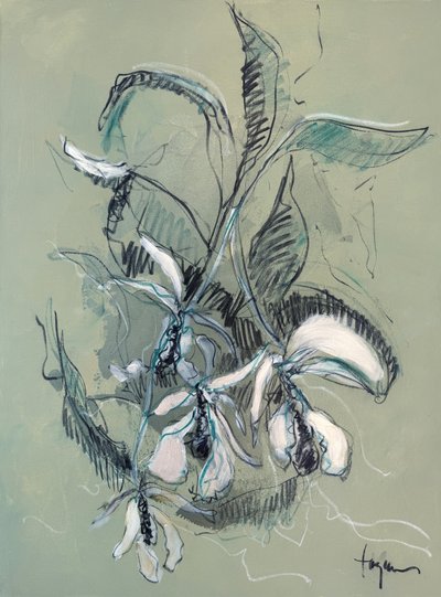 Esboço de uma orquídea elegante de Dorothy Fagan