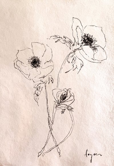 Desenho minimalista de uma flor de Dorothy Fagan
