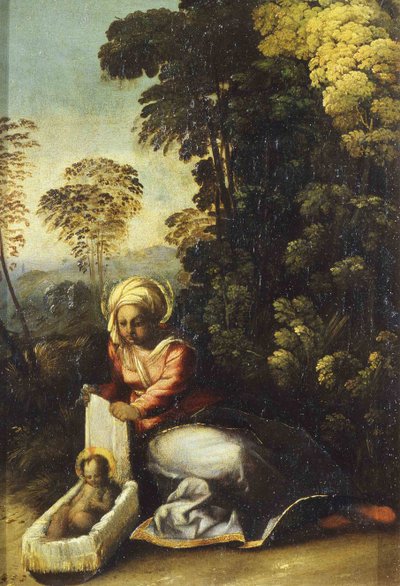 Madonna com a criança La Zingarella, c. 1513 de Dosso Dossi