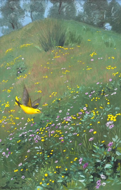 Oriel dourado nas flores da primavera de Douglas Anderson