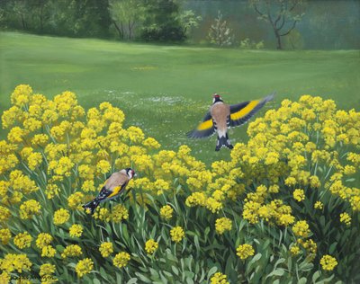 Pintassilgos, 2000 (óleo sobre tábua) de Douglas Anderson