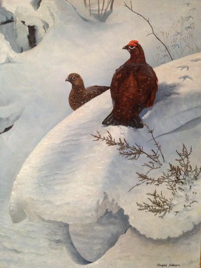 Galo silvestre na neve, c.1985 (óleo sobre tela) de Douglas Anderson