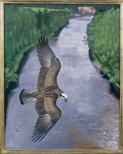 Pesca de águia-pesqueira de Douglas Anderson