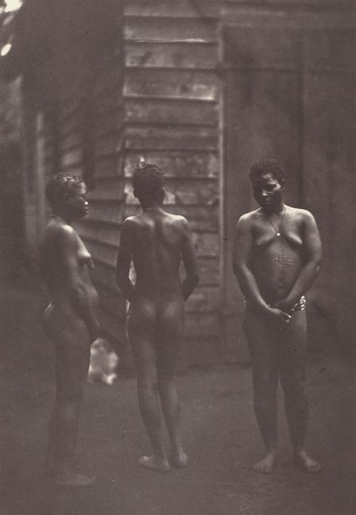 Três mulheres malgaxes (Prato 30),1863 (fotografia) de Désiré Charnay