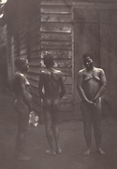 Três mulheres malgaxes Placa 30, 1863. de Désiré Charnay