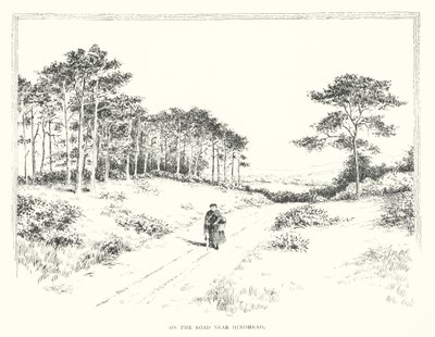 Na estrada perto de Hindhead (litografia) de Duncan Moul
