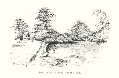 Squerryes Ponds, Westerham (litografia) de Duncan Moul