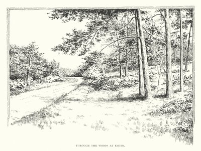 Através dos bosques em Esher (litografia) de Duncan Moul