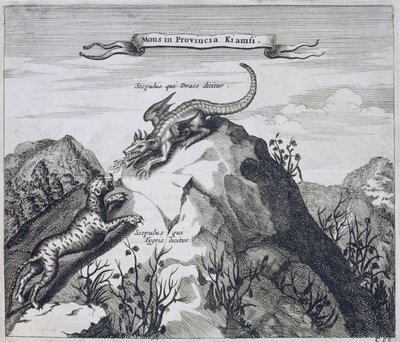 Uma montanha na província de Jiangxi com penhascos conhecidos como o dragão e o tigre, da China Ilustrado por Athanasius Kircher (1601-80) 1667 de Dutch School