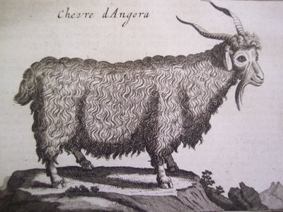 Cabra angorá, de Relação de uma viagem du Levant por Joseph Pitton de Tournefort, Amsterdã, 1718 de Dutch School