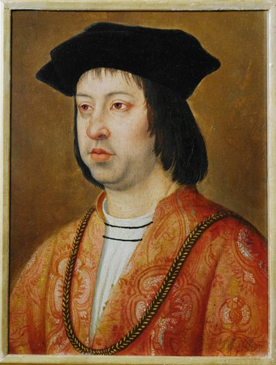 Rei Fernando II de Aragão ... (óleo sobre madeira) de Dutch School
