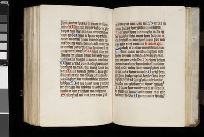 MS McClean 92, f.132v - f.133r, do Livro das Horas, c.1470-90 de Dutch School