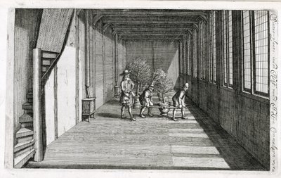Mover árvores para o jardim para o verão, de De Nederlandze Hespérides por Jan Commelin, publicado em 1676 de Dutch School