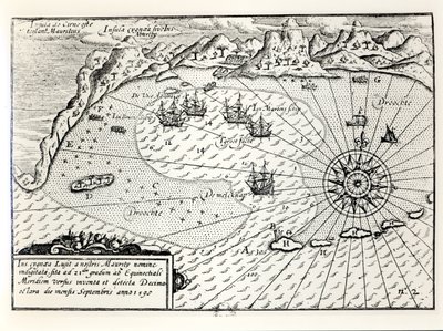 Chegada do Vice-almirante Wybrandt Van Warwijcks Flotilha no Porto Sudeste da Ilha Maurícia em setembro de 1598 de Dutch School